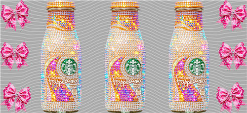16oz Latest Bestseller-C 10961